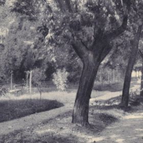 Kép nagy méretben